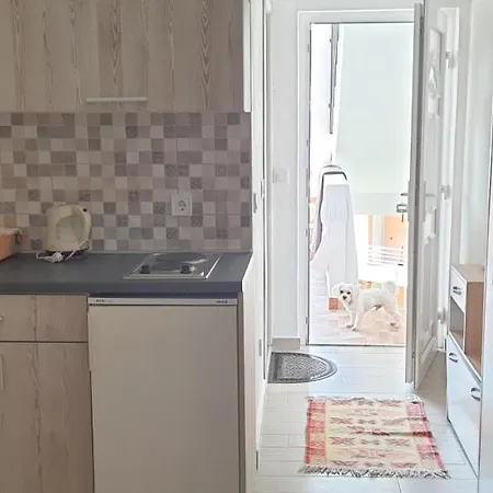 Apartmani Mia Sorajic Petrovac Exterior photo