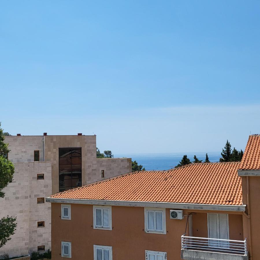 Mia Sorajic Apartment Petrovac